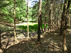 ���R����