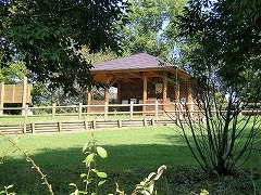 �����܂�