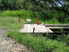 ��͂�ʍs�~�߂̖ؓ�