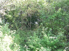 �R���֌��������u