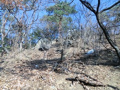 ���Ɋ����Ȃ���o��