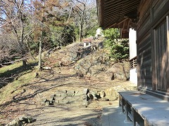 �Гa���̊�ꂩ��