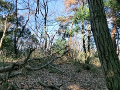 ���_�R�R��