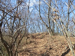 �R���֌�����