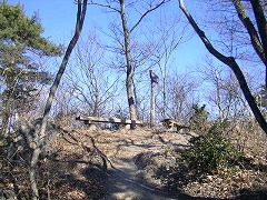 �V���R�ւ̕���