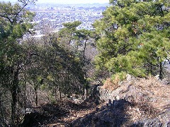 ���肾���E�E�E