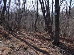 ���邢�o�R��