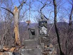 �R���̐��K�ƐΑ�