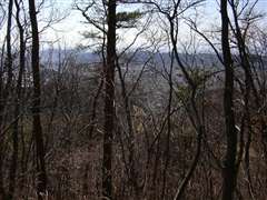 �؂̊ԉz���̓W�]