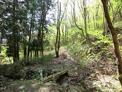 �J�^�N���Q���n