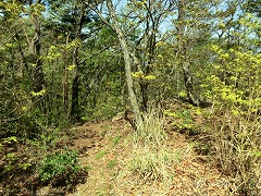 �W���R����