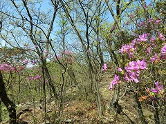 �~�c�o�c�c�W