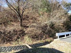 �S�̋��������鐴����