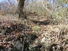 �o�R���̃��[�v