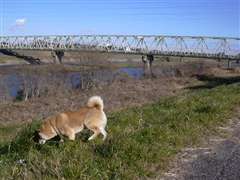 ���s������ǌ�