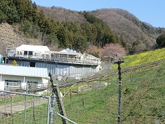 �Ԃǂ����̓�[�����