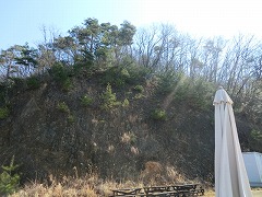 ���C���R�R��