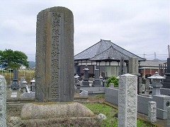 ���c�����Y�V��