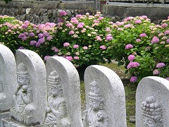 �����O�\�O�ԎD��