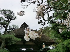 �����̎R��Ə\����