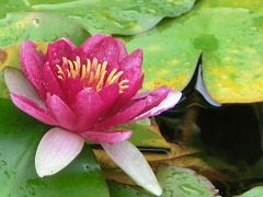 �g�����A