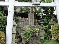 ��C�V��펀��