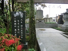 ���l���������l������Ƃ��ɓ����䍑�ׂ̈Ǝv����