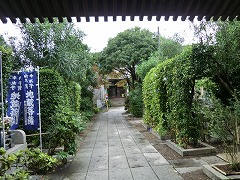 ���Ԏ��Q��