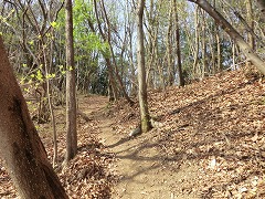 ���邢�R��