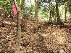 �g�����[�v