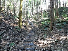 �������K�i