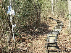 �������K�i