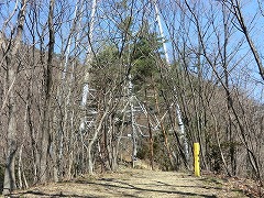 ���d�S��