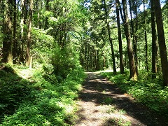 �����ѓ�