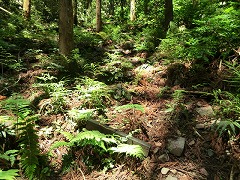 �����̊K�i