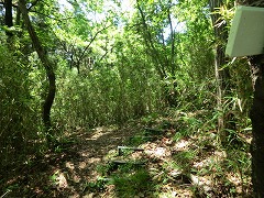 ���J����