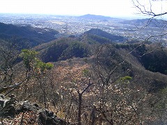 �o���Ă�������