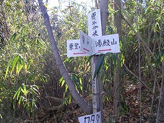 ���J����