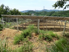 �\�[���[�p�l��