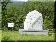 ����̗���