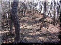 �R������