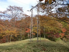 ���d�S��