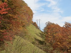 ��ɑ������d��