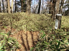 ���m�ؕ��E���q������