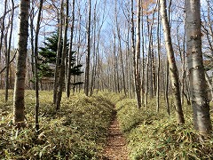 �����̓�