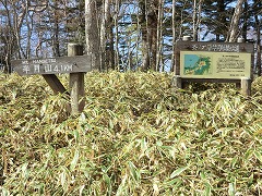 ���m�ؕ��V�����ē���