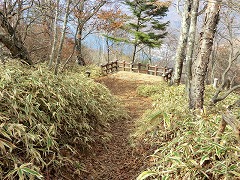 �،��̑���e��