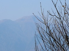 ���������R