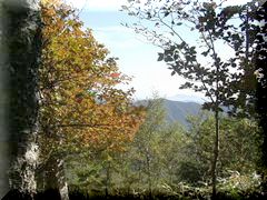 ����R�W�]