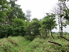 �R���̃A���e�i